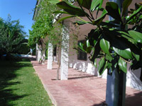 Ampliar foto