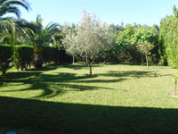 Ampliar foto